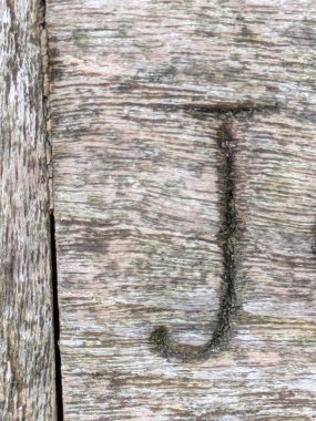 Sıkıntılı Durum Tipografisi ile Yazılan Kelimeler Fidye Mektubu J 'yi Buldu