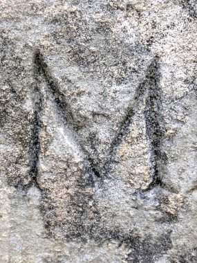 Sıkıntılı Durum Tipografisi ile Yazılan Kelimeler Fidye Mektubu M 'yi Buldu