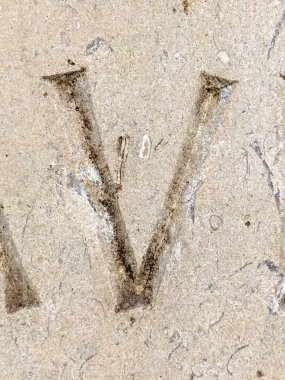 Sıkıntılı Durum Tipografisinde Yazılan Sözcükler Fidye Mektubu V 'yi Buldu