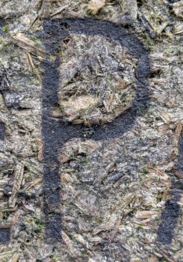 Sıkıntılı Durum Tipografisi ile Yazılan Sözcükler Fidye Mektubu P Bulundu