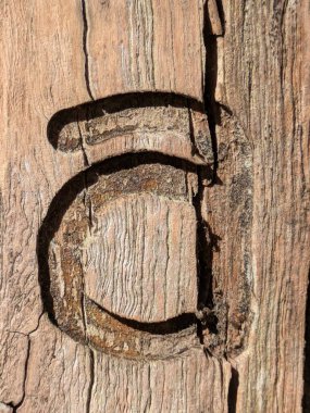 Sıkıntılı Durum Tipografisi ile Yazılan Sözcükler Fidye Mektubu A 'yı Buldu