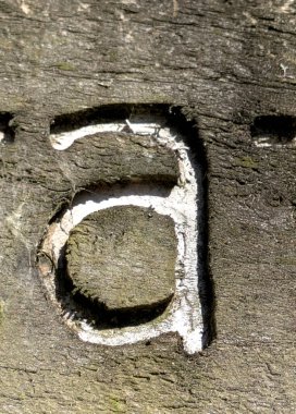 Sıkıntılı Durum Tipografisi ile Yazılan Sözcükler Fidye Mektubu A 'yı Buldu