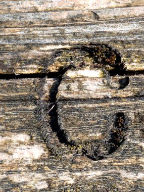 Sıkıntılı Durum Tipografisi ile Yazılan Sözcükler Fidye Harfi C Bulundu