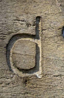 Sıkıntılı Durum Tipografisi ile Yazılan Kelimeler Fidye Mektubu D 'yi Buldu