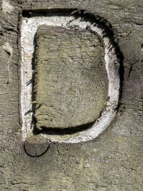 Sıkıntılı Durum Tipografisi ile Yazılan Kelimeler Fidye Mektubu D 'yi Buldu