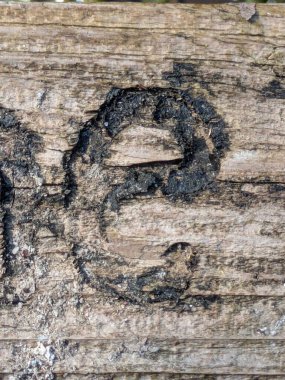 Sıkıntılı Durum Tipografisi ile Yazılan Sözcükler Fidye Mektubu E Bulundu