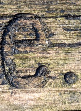 Sıkıntılı Durum Tipografisi ile Yazılan Sözcükler Fidye Mektubu E Bulundu