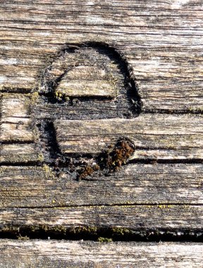 Sıkıntılı Durum Tipografisi ile Yazılan Sözcükler Fidye Mektubu E Bulundu