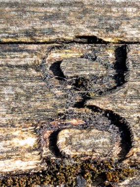 Sıkıntılı Durum Tipografisi ile Yazılan Sözcükler Fidye Mektubu G 'yi Buldu