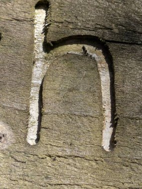 Sıkıntılı Durum Tipografisi ile Yazılan Kelimeler Fidye Mektubu H 'yi Buldu