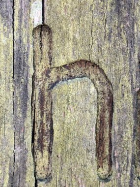 Sıkıntılı Durum Tipografisi ile Yazılan Kelimeler Fidye Mektubu H 'yi Buldu