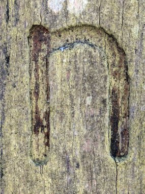 Sıkıntılı Durum Tipografisi ile Yazılan Kelimeler Fidye Mektubu N 'yi Buldu