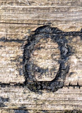 Sıkıntılı Durum Tipografisi ile Yazılan Sözcükler 0 Numaralı Fidye Mektubunu Buldu