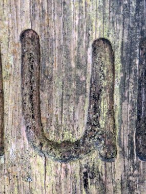 Sıkıntılı Durum Tipografisi ile Yazılan Sözcükler Fidye Mektubunu Bulundu