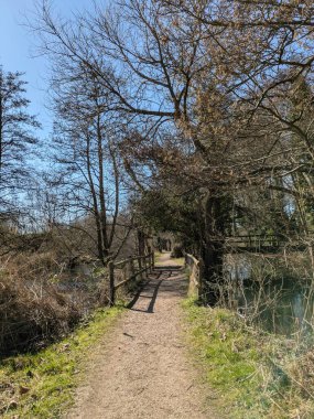 Güneşli, mavi bir gökyüzünde İngiltere 'nin bozkırlarında doğa yolunda bir kır yürüyüşü.