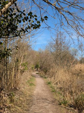 Güneşli, mavi bir gökyüzünde İngiltere 'nin bozkırlarında doğa yolunda bir kır yürüyüşü.