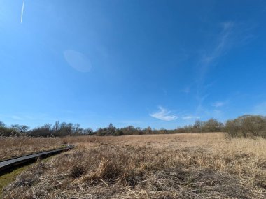 Güneşli, mavi bir gökyüzünde İngiltere 'nin bozkırlarında doğa yolunda bir kır yürüyüşü.