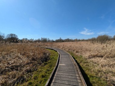 Güneşli, mavi bir gökyüzünde İngiltere 'nin bozkırlarında doğa yolunda bir kır yürüyüşü.