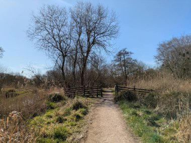 Güneşli, mavi bir gökyüzünde İngiltere 'nin bozkırlarında doğa yolunda bir kır yürüyüşü.