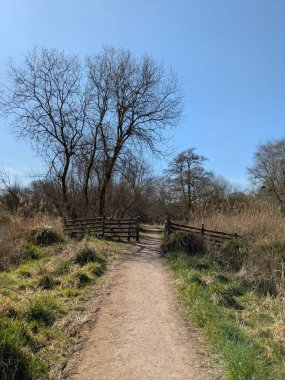 Güneşli, mavi bir gökyüzünde İngiltere 'nin bozkırlarında doğa yolunda bir kır yürüyüşü.