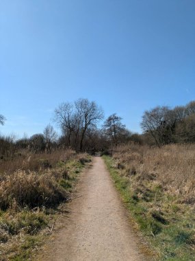 Güneşli, mavi bir gökyüzünde İngiltere 'nin bozkırlarında doğa yolunda bir kır yürüyüşü.