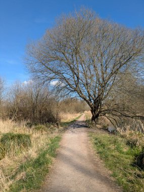 Güneşli, mavi bir gökyüzünde İngiltere 'nin bozkırlarında doğa yolunda bir kır yürüyüşü.