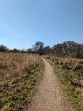 Güneşli, mavi bir gökyüzünde İngiltere 'nin bozkırlarında doğa yolunda bir kır yürüyüşü.