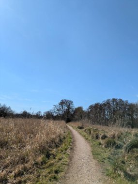 Güneşli, mavi bir gökyüzünde İngiltere 'nin bozkırlarında doğa yolunda bir kır yürüyüşü.