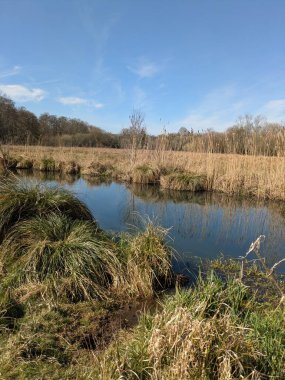 Güneşli, mavi bir gökyüzünde İngiltere 'nin bozkırlarında doğa yolunda bir kır yürüyüşü.