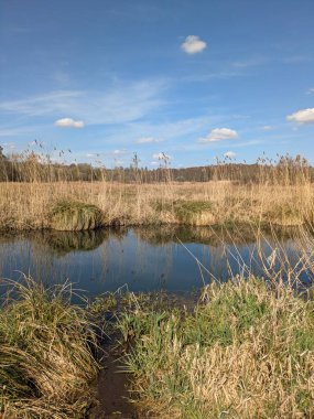 Güneşli, mavi bir gökyüzünde İngiltere 'nin bozkırlarında doğa yolunda bir kır yürüyüşü.