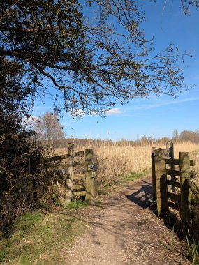 Güneşli, mavi bir gökyüzünde İngiltere 'nin bozkırlarında doğa yolunda bir kır yürüyüşü.