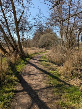 Güneşli, mavi bir gökyüzünde İngiltere 'nin bozkırlarında doğa yolunda bir kır yürüyüşü.