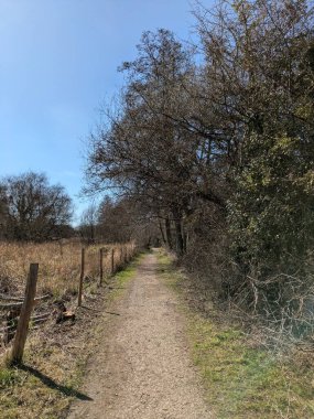 Güneşli, mavi bir gökyüzünde İngiltere 'nin bozkırlarında doğa yolunda bir kır yürüyüşü.