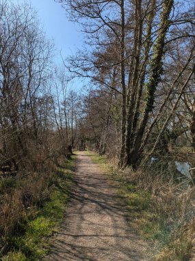 Güneşli, mavi bir gökyüzünde İngiltere 'nin bozkırlarında doğa yolunda bir kır yürüyüşü.