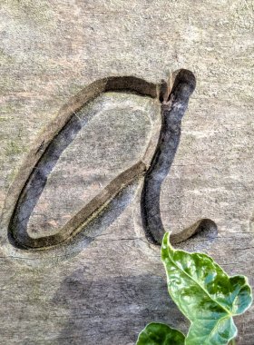 Sıkıntılı Durum Tipografisi ile Yazılan Sözcükler Fidye Mektubu A 'yı Buldu