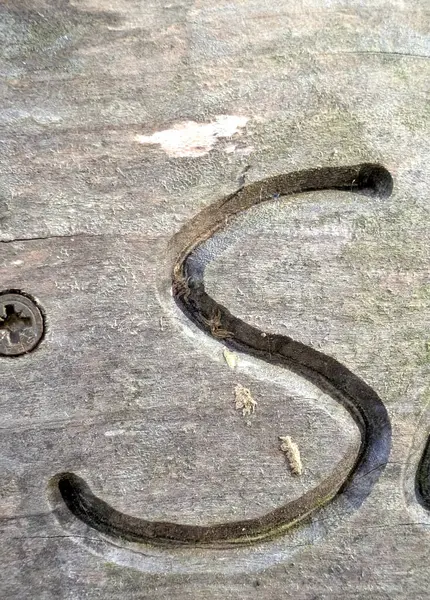 Sıkıntılı Durum Tipografisi ile Yazılan Sözcükler Fidye Harfi S Bulundu