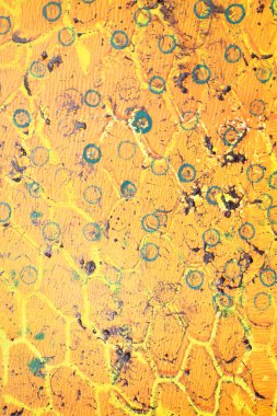 Kalın soyut boya yüzeyi, ağır desenli, graffiti eline benzeyen gerçek sarı arka plan.