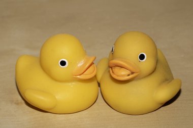 İki Şirin Oyuncak Sarı Lastik Ördek Tahta Rafta Neşeli Görünüyor