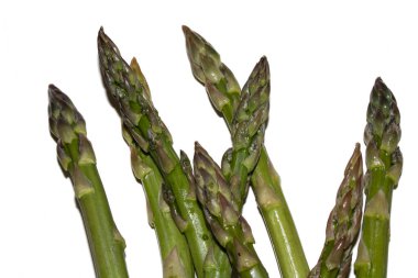 Kuşkonmaz sapını kapatın. Beyaz arka planda pişirilmeye hazır olun.