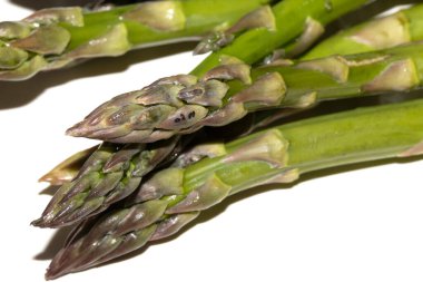 Kuşkonmaz sapını kapatın. Beyaz arka planda pişirilmeye hazır olun.