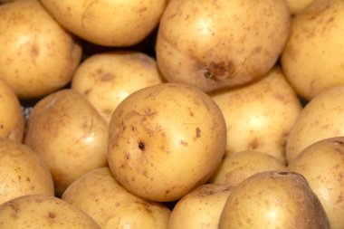 Pişmiş haşlanmış salata bebek patateslerini yakın.