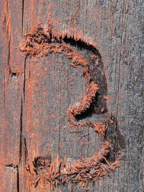 Sıkıntılı Durum Tipografisi ile Yazılan Sözcükler 3 Numarayı Buldu