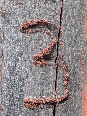 Sıkıntılı Durum Tipografisi ile Yazılan Sözcükler 3 Numarayı Buldu