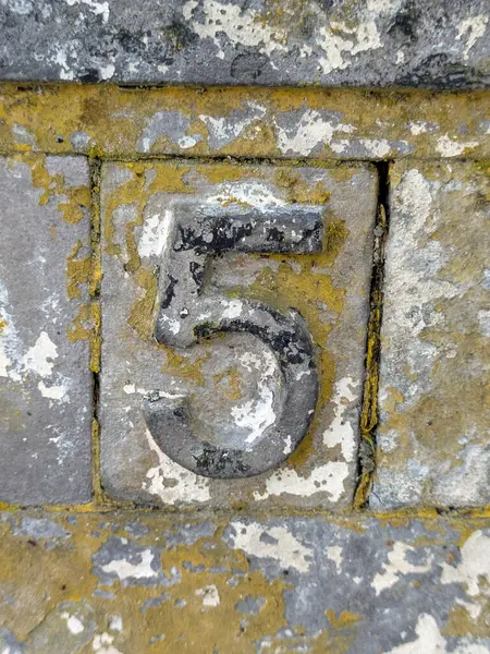 Sıkıntılı Durum Tipografisi Yazılı Sözcükler 5 Numaralı Fidyeyi Buldu