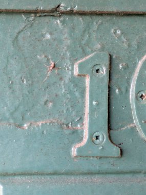 Sıkıntılı Durum Tipografisi ile Yazılan Kelimeler Fidye Numarası 1 Bulundu