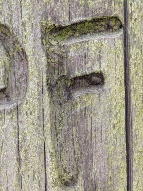 Sıkıntılı Durum Tipografisi ile Yazılan Kelimeler Ransom Yazı Tipi F Harfi Bulundu