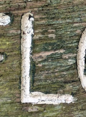 Sıkıntılı Durum Tipografisi ile Yazılan Yazı Tipi L Harfi Bulundu