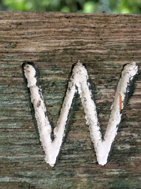 Sıkıntılı Durum Tipografisi ile Yazılan Kelimeler Ransom Yazı Tipi Harfi W