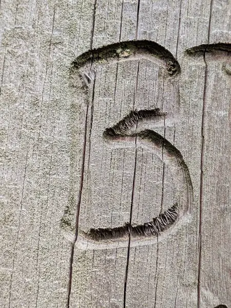 Sıkıntılı Durum Tipografisi ile Yazılan Kelimeler Ransom Yazı Tipi Harfi B 'yi Buldu