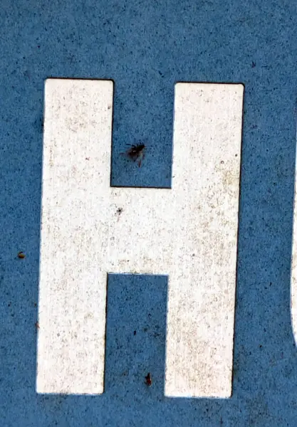 Sıkıntılı Durum Tipografisi ile Yazılan Kelimeler Ransom Yazı Tipi H Harfi Bulundu